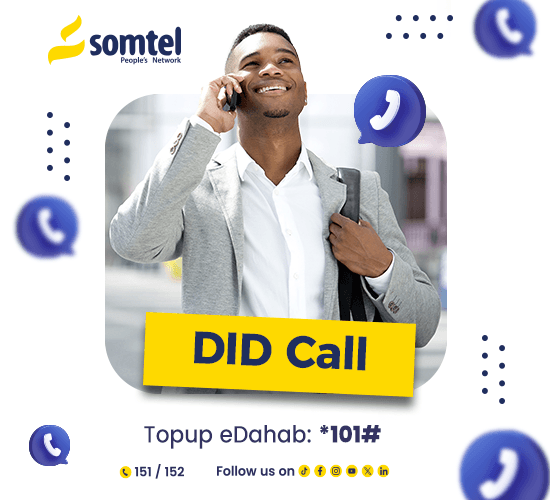 DID Call service illustration